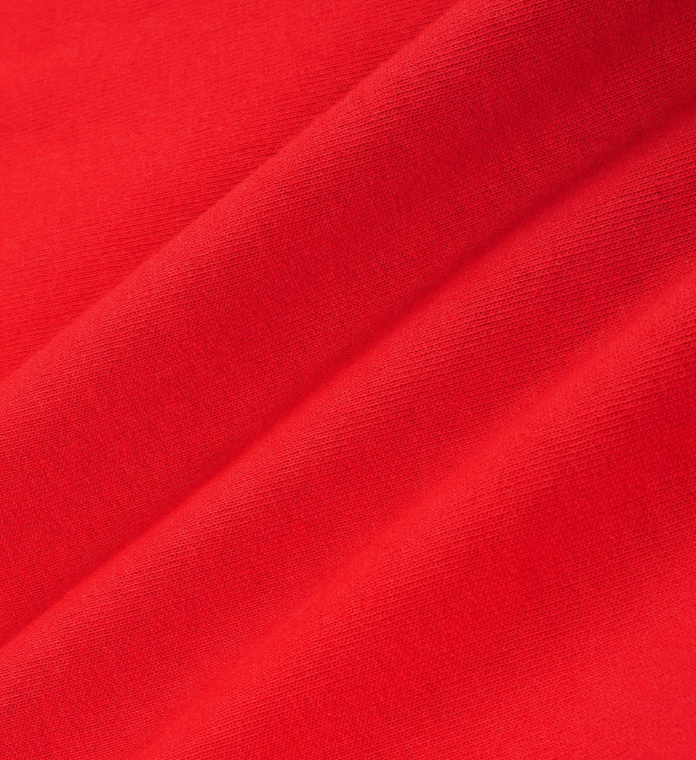 Varsity Crest Kids Crewneck - Ruby/White Sporty & Rich Discount